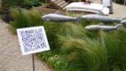 WTF QR CODES?!