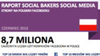 Raport Social Bakers – czerwiec 2012