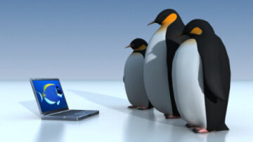 Wpływ „Pingwina” Google na handel internetowy w 2012 roku