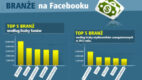 Polski Facebook 2012 – Sotrender (infografika)