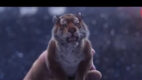 Tiger przemówił głosem młodego pokolenia