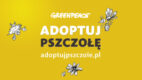 Adoptuj Pszczołę – akcja społeczna Greenpeace