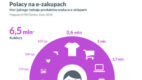 Polacy na e-zakupach: kto i czego szuka w e-sklepach – badanie Gemius