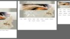 best.net wdraża Responsive Web Design dla Grupy Raben