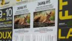 Zaginął ryś – nietypowa kampania outdoorowa w największych miastach Polski