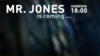 Mr Jones w akcji: kampania promocyjna programu „Biznes w potrzebie” – case study