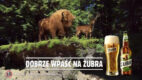 Dobrze wpaść na Żubra – rusza kampania reklamowa marki