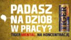 Na koncentrację, na ciężkie poranki – kampania outdoorowa marki Tiger