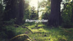 Harry Potter – z telewizji na Twittera