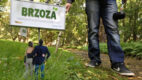 Drzewa Życia – spójrz na swoje zdrowie z innej perspektywy