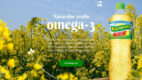 Olej Kujawski – naturalne źródło Omega-3