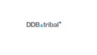 Media DDB&tribal z kampanią dla Adria Airways