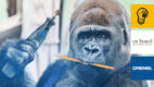 Dremel ze wsparciem Grupy On Board Think Kong