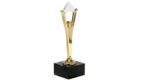 Iwona Kubicz w jury Stevie Awards 2015