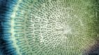 W poszukiwaniu cyfrowego czasu – 4 prognozy dla Big Data marketingu