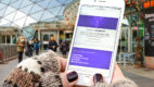 AMS i Social WiFi z akcją marketingową dla Play