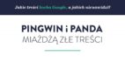 Jakie treści kocha Google, a jakich nie cierpi?