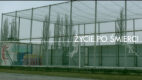 „ŻYCIE PO ŚMIERCI”- nowa kampania PCK autorstwa Grey Group Poland we współpracy z ShootMe i Fundacją Pedagogium