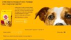 Hypnodog – czy mu ulegniesz?