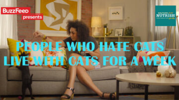 Reklama dnia: Osoby, które nie cierpią kotów, spędzają z kotem cały tydzień – uroczy eksperyment BuzzFeed i Nutrish