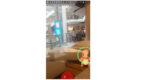 Pokemony opanowały Centrum Handlowe Blue City