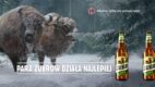 Para Żubrów działa najlepiej – Zimowa odsłona kampanii Żubra