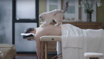 Reklama dnia: Kto by nie chciał być masowany przez kota?