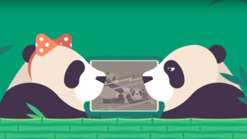 PornHub i Panda Style, czyli nowa kampania w obronie populacji Pandy Wielkiej