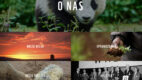 Nowa strona WWF Polska – od K2