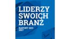 Raport SEO 2017 – liderzy swoich branż
