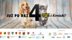 Karmimy Psiaki i Kociaki – 4. edycja akcji wystartowała!