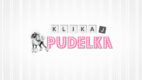 200 tysięcy widzów programu „Kilka Pudelka”