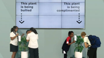 IKEA poprosiła dzieci o wyśmiewanie rośliny uczestniczącej w eksperymencie, by pokazać niszczącą siłę przemocy słownej