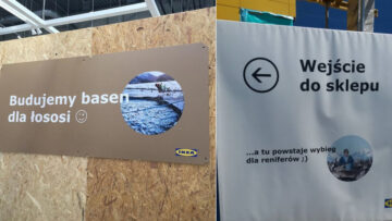 Basen dla łososi, wybieg dla reniferów, animowany plan sklepu – IKEA intryguje i zachwyca na całym świecie