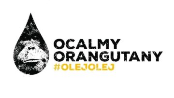 #Olejolej – gdańskie ZOO, dzięki obrazom namalowanym przez orangutanicę zwraca uwagę na szkodliwość oleju palmowego