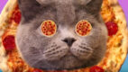 „GIF me food” nowa innowacyjna kampania wizerunkowa PizzaPortal.pl