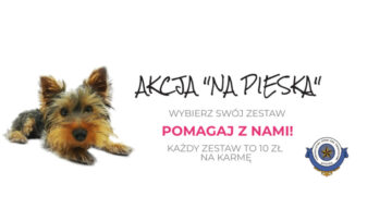 „Na pieska” – zrób zakupy w sex shopie i wesprzyj Towarzystwo Opieki nad Zwierzętami w Szczecinie