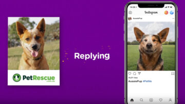 PetMe – sztuczna inteligencja dobiera psa do adopcji na podstawie zdjęcia na Instagramie