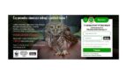 BLIK znów zmienia ecommerce – wprowadza płatność z banera reklamowego