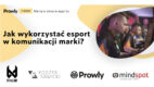 Marka w świecie esportu [e-book]