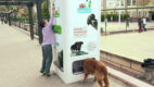 W Turcji pojawił się automat, który oferuje karmę dla psów w zamian za plastikowe butelki