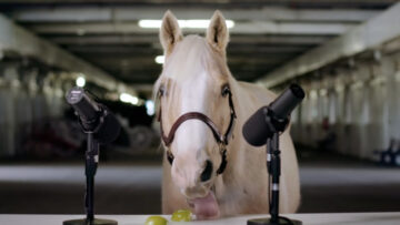 Zrelaksuj się przy dźwiękach konia żującego jedzenie
