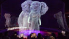 Hologramy zamiast żywych zwierząt w niemieckim cyrku