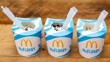 McDonald’s rezygnuje z plastikowych opakowań do McFlurry