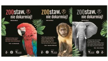 ZOOstaw, nie dokarmiaj – nowa akcja Warszawskiego ZOO