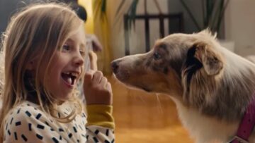 Love Story: IKEA wzrusza w nowej reklamie o adoptowanym psie