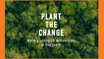 Nature needs heroes: Timberland angażuje się w ochronę środowiska i posadzi 50 mln drzew