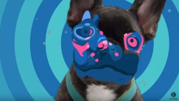 John Dog HAUSY: Polska marka John Dog stworzyła „psie bity”