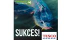 Tesco nie będzie sprzedawać żywych karpi