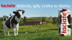 Łaciate zawsze w domu w kampanii Mlekpolu i Leo Burnett Warszawa